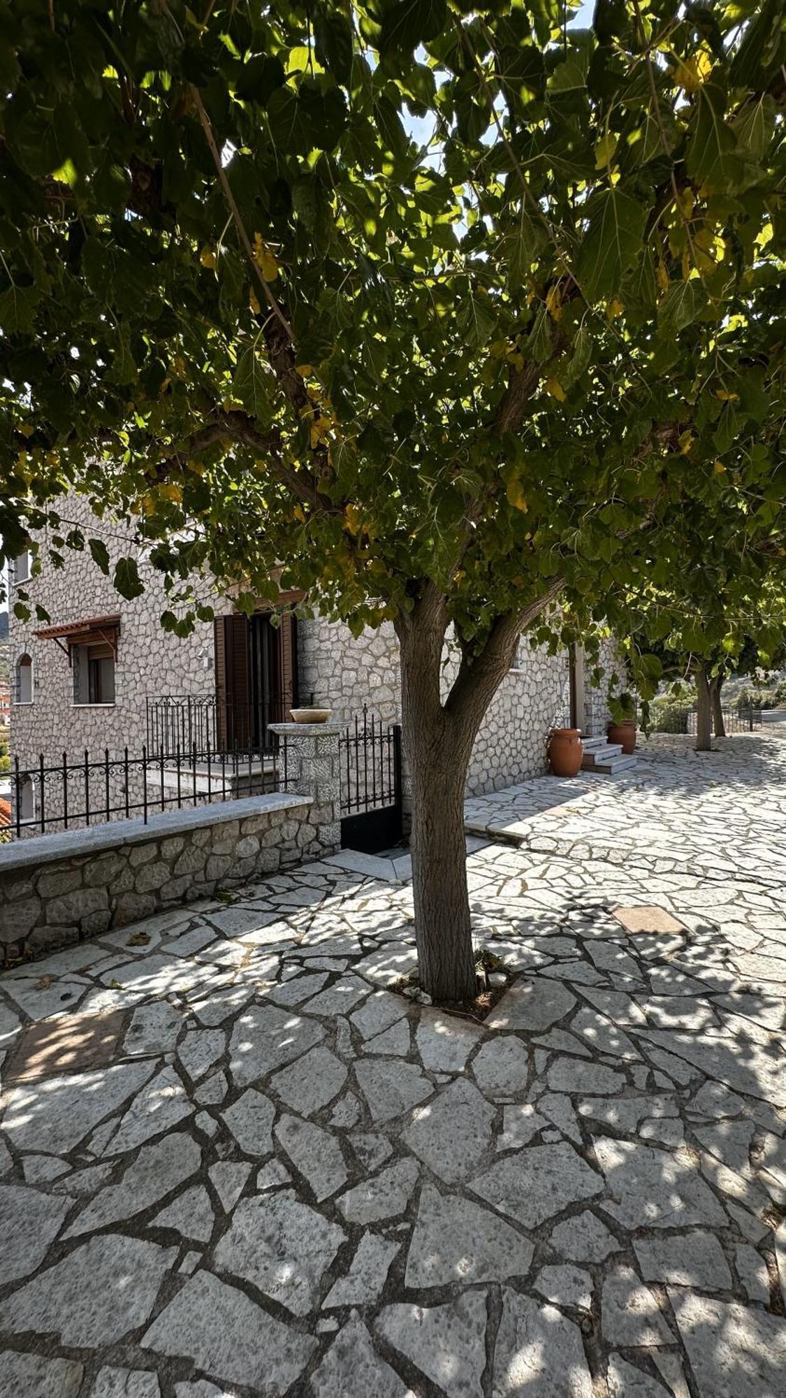 Appartement Το Πέτρινο à Kiriákion Extérieur photo